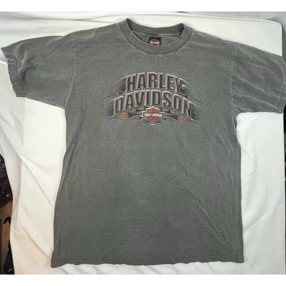Harley Davidson T Shirt Men's L Gray 2006 Susquehanna Valley Harrisburg PA